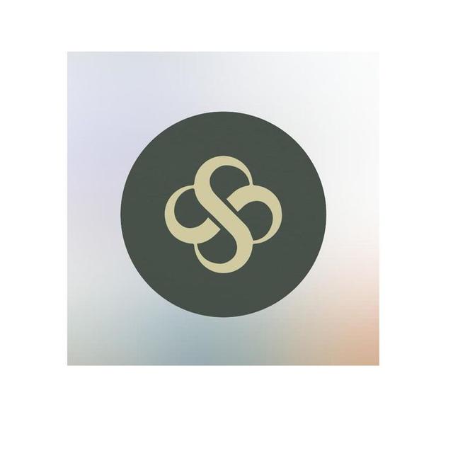S & S Cosmo trading sarl ( B04 )